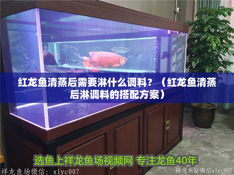 紅龍魚清蒸后需要淋什么調料？（紅龍魚清蒸后淋調料的搭配方案）