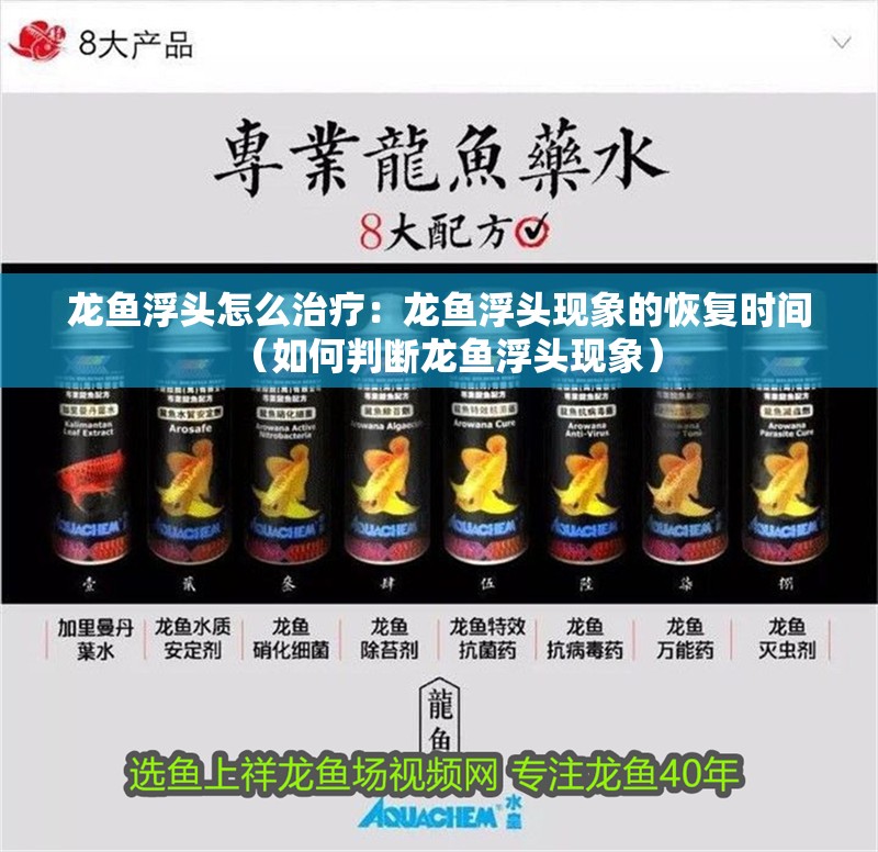龍魚浮頭怎么治療：龍魚浮頭現象的恢復時間（如何判斷龍魚浮頭現象） 龍魚浮頭怎么治療：龍魚浮頭現象的恢復時間（如何判斷龍魚浮頭現象） 水族問答