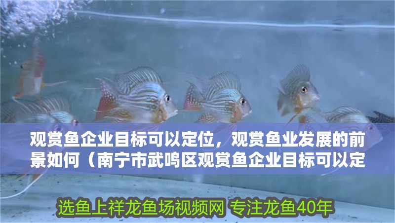 觀賞魚企業(yè)目標(biāo)可以定位，觀賞魚業(yè)發(fā)展的前景如何（南寧市武鳴區(qū)觀賞魚企業(yè)目標(biāo)可以定位觀賞魚企業(yè)目標(biāo)）