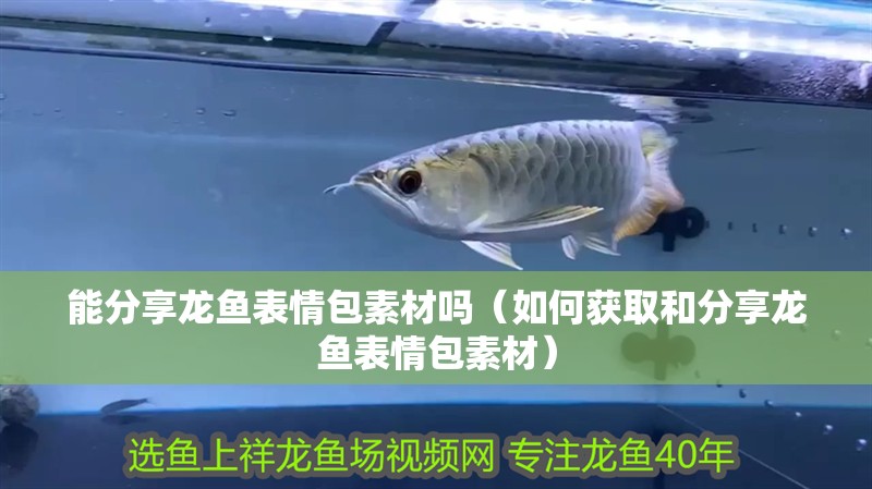 能分享龍魚表情包素材嗎（如何獲取和分享龍魚表情包素材）