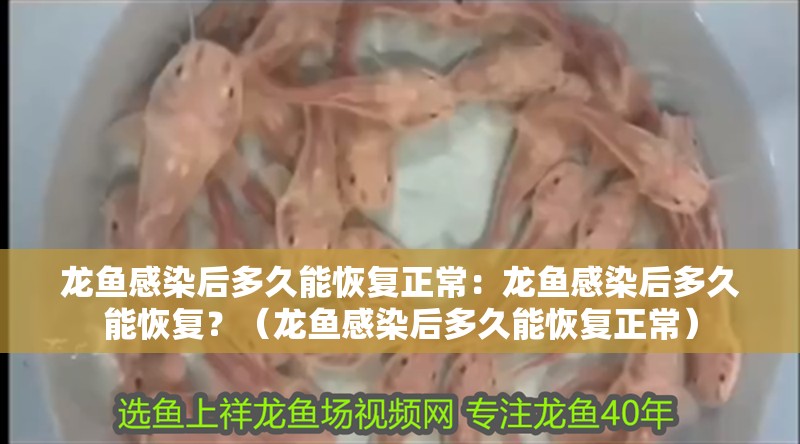 龍魚感染后多久能恢復正常：龍魚感染后多久能恢復？（龍魚感染后多久能恢復正常）