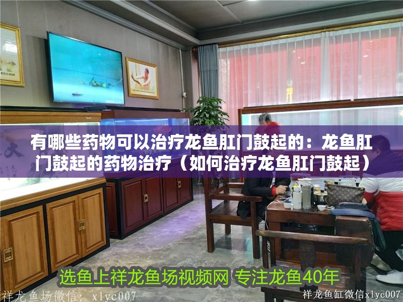 有哪些藥物可以治療龍魚肛門鼓起的：龍魚肛門鼓起的藥物治療（如何治療龍魚肛門鼓起）
