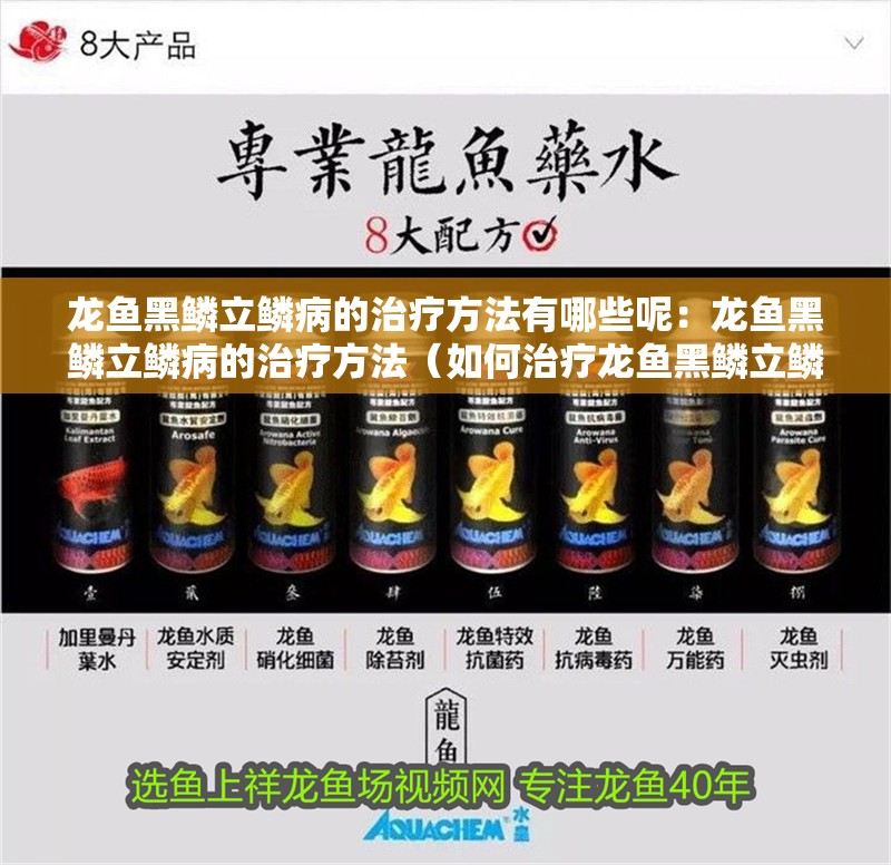 龍魚黑鱗立鱗病的治療方法有哪些呢：龍魚黑鱗立鱗病的治療方法（如何治療龍魚黑鱗立鱗?。? title=