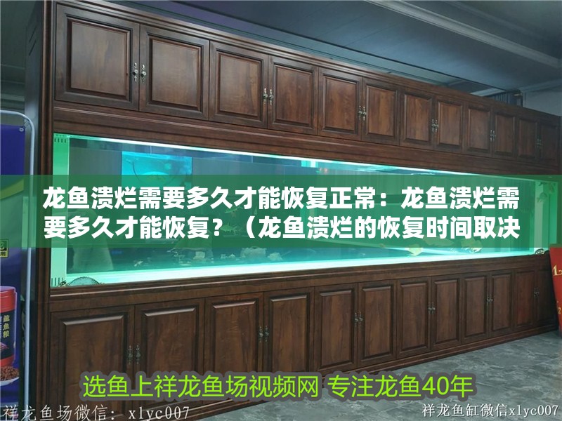 龍魚潰爛需要多久才能恢復正常：龍魚潰爛需要多久才能恢復？（龍魚潰爛的恢復時間取決于多種因素）