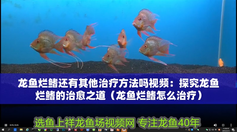 龍魚爛鰭還有其他治療方法嗎視頻：探究龍魚爛鰭的治愈之道（龍魚爛鰭怎么治療）