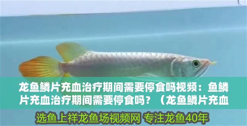 龍魚鱗片充血治療期間需要停食嗎視頻：魚鱗片充血治療期間需要停食嗎？（龍魚鱗片充血治療期間需要停食嗎？）