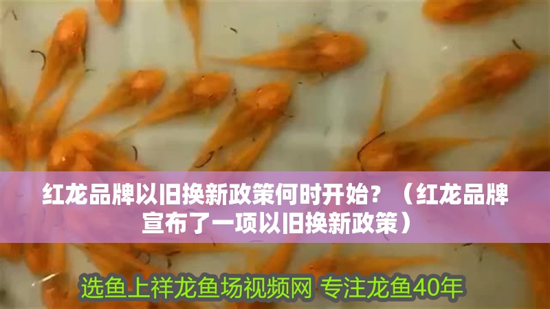 紅龍品牌以舊換新政策何時開始？（紅龍品牌宣布了一項以舊換新政策）