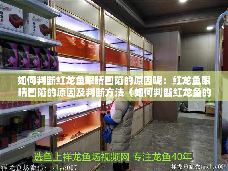 如何判斷紅龍魚眼睛凹陷的原因呢：紅龍魚眼睛凹陷的原因及判斷方法（如何判斷紅龍魚的眼睛凹陷）