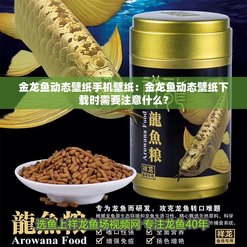 金龍魚動(dòng)態(tài)壁紙手機(jī)壁紙：金龍魚動(dòng)態(tài)壁紙下載時(shí)需要注意什么？