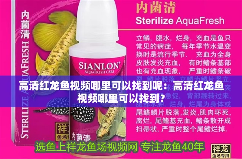 高清紅龍魚視頻哪里可以找到呢：高清紅龍魚視頻哪里可以找到？