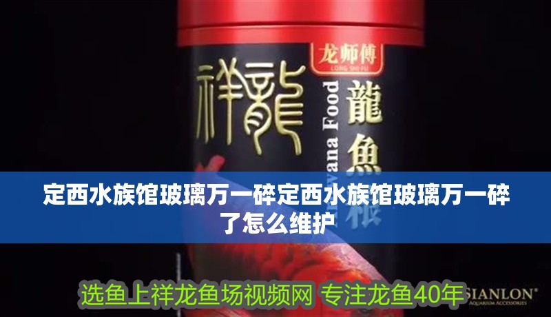 定西水族館玻璃萬一碎定西水族館玻璃萬一碎了怎么維護 定西水族館玻璃萬一碎定西水族館玻璃萬一碎了怎么維護 觀賞魚百科