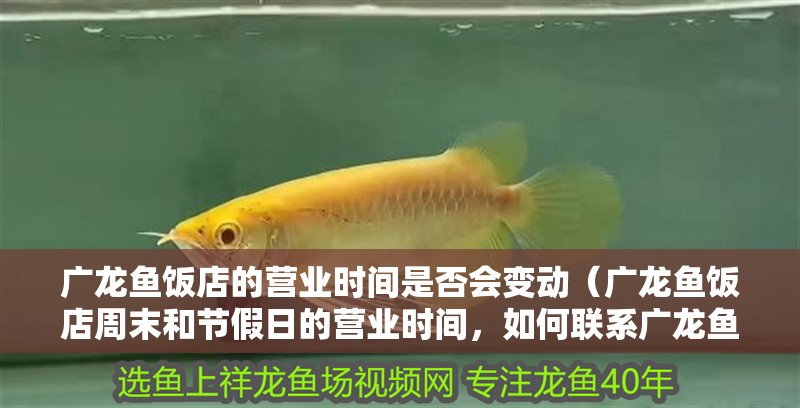 龍魚干蝦有營養嗎 廣龍魚飯店的營業時間是否會變動(廣龍魚飯店周末和節假日的營業時間,如何聯系廣龍魚飯店確認營業時間?) 龍魚百科 廣龍魚飯店的營業時間是否會變動(廣龍魚飯店周末和節假日的營業時間,如何聯系廣龍魚飯店確認營業時間?) 廣龍魚飯店的營業時間是否會變動(廣龍魚飯店周末和節假日的營業時間,如何聯系廣龍魚飯店確認營業時間?) 龍魚百科