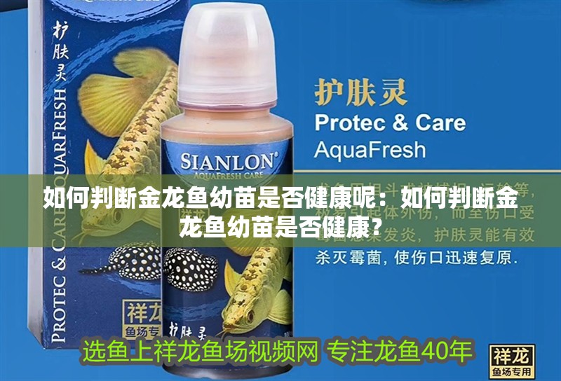 如何判斷金龍魚幼苗是否健康呢：如何判斷金龍魚幼苗是否健康？