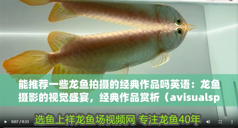 我的虎魚(yú)真菌感染了要怎么處理 能推薦一些龍魚(yú)拍攝的經(jīng)典作品嗎英語(yǔ):龍魚(yú)攝影的視覺(jué)盛宴,經(jīng)典作品賞析(avisualspectacleofdragonfishphotography) 水族問(wèn)答 能推薦一些龍魚(yú)拍攝的經(jīng)典作品嗎英語(yǔ):龍魚(yú)攝影的視覺(jué)盛宴,經(jīng)典作品賞析(avisualspectacleofdragonfishphotography) 能推薦一些龍魚(yú)拍攝的經(jīng)典作品嗎英語(yǔ):龍魚(yú)攝影的視覺(jué)盛宴,經(jīng)典作品賞析(avisualspectacleofdragonfishphotography) 水族問(wèn)答