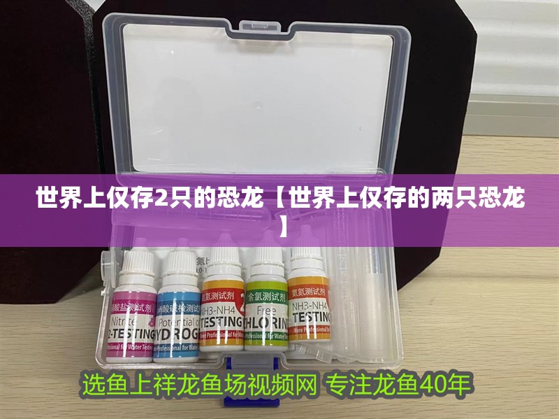 世界上僅存2只的恐龍【世界上僅存的兩只恐龍】