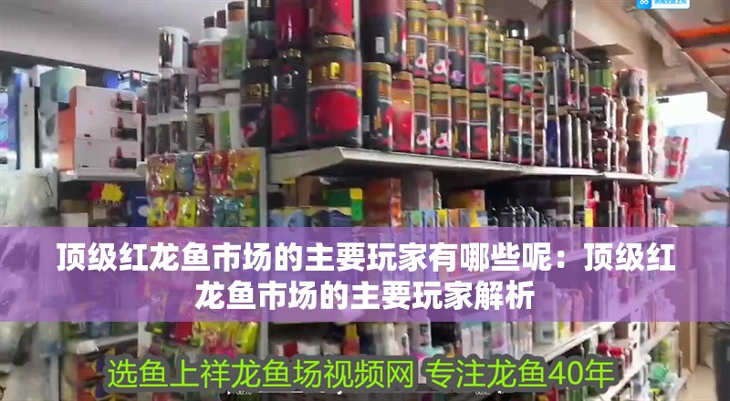 頂級紅龍魚市場的主要玩家有哪些呢：頂級紅龍魚市場的主要玩家解析