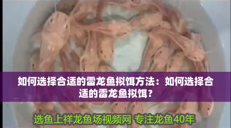 如何選擇合適的雷龍魚擬餌方法：如何選擇合適的雷龍魚擬餌？ 如何選擇合適的雷龍魚擬餌方法：如何選擇合適的雷龍魚擬餌？ 水族問答