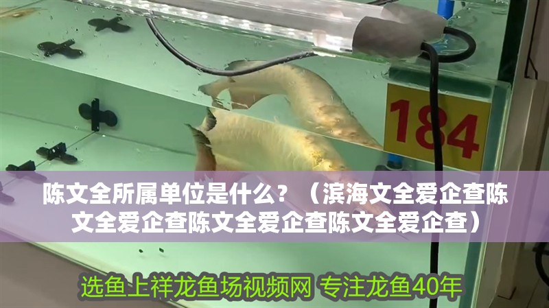 陳文全所屬單位是什么？（濱海文全愛企查陳文全愛企查陳文全愛企查陳文全愛企查）