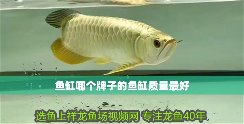 魚缸哪個牌子的魚缸質量最好