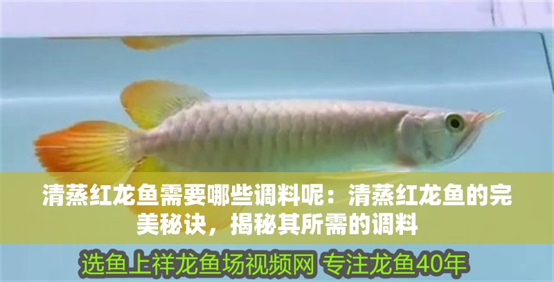 清蒸紅龍魚需要哪些調料呢：清蒸紅龍魚的完美秘訣，揭秘其所需的調料