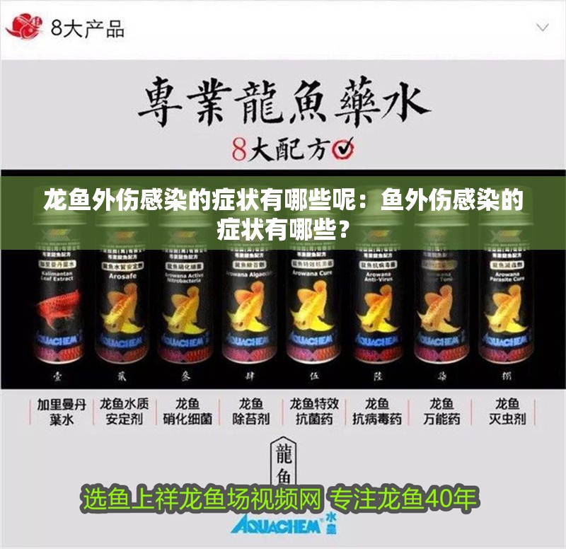 龍魚外傷感染的癥狀有哪些呢：魚外傷感染的癥狀有哪些？