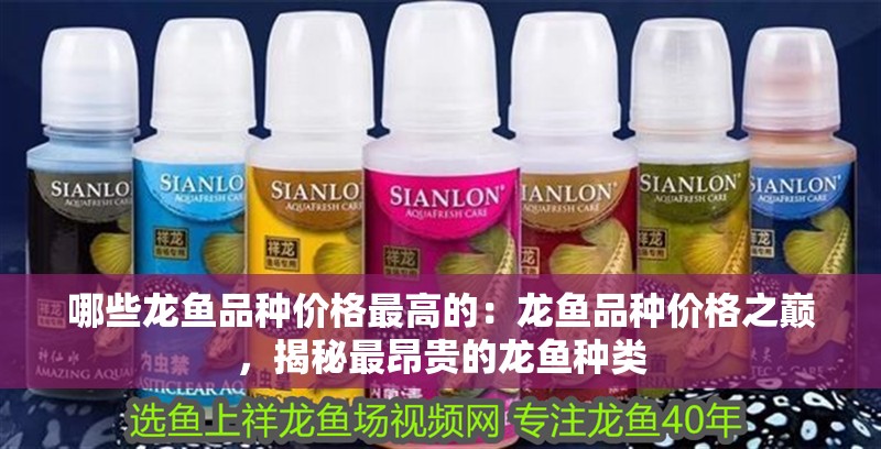 哪些龍魚品種價格最高的：龍魚品種價格之巔，揭秘最昂貴的龍魚種類