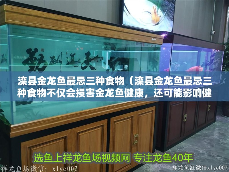 灤縣金龍魚最忌三種食物（灤縣金龍魚最忌三種食物不僅會(huì)損害金龍魚健康，還可能影響健康）