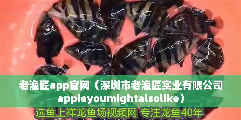 老漁匠app官網（<strong><mark>深圳</mark></strong>市老漁匠實業有限公司appleyoumightalsolike）