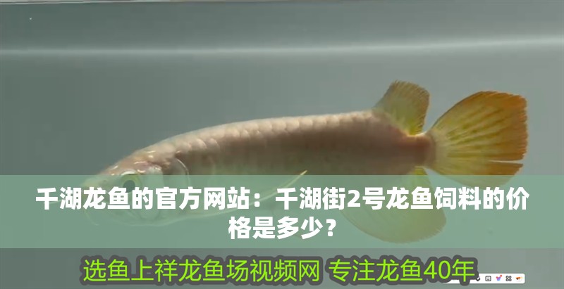 千湖龍魚(yú)的官方網(wǎng)站：千湖街2號(hào)龍魚(yú)飼料的價(jià)格是多少？