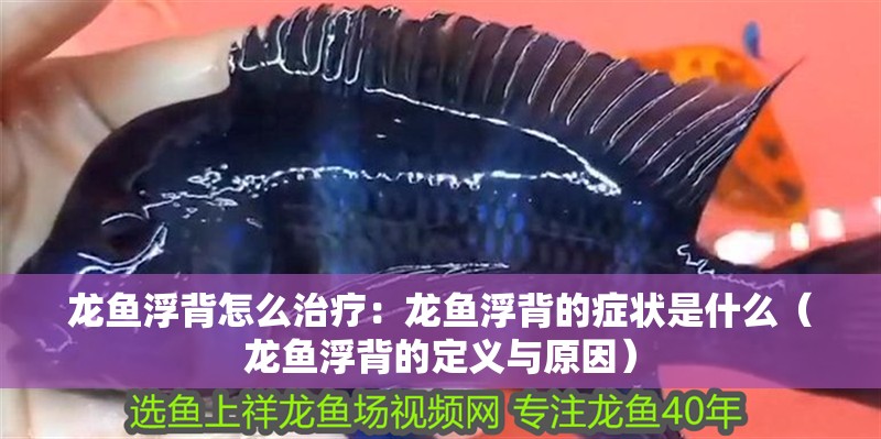 龍魚浮背怎么治療：龍魚浮背的癥狀是什么（龍魚浮背的定義與原因）