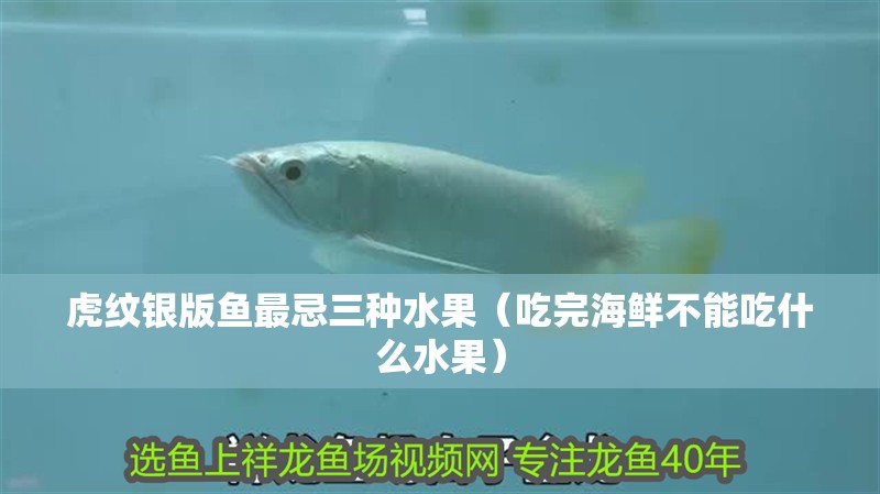 虎紋銀版魚最忌三種水果（吃完海鮮不能吃什么水果）