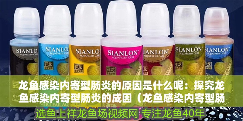 龍魚感染內寄型腸炎的原因是什么呢：探究龍魚感染內寄型腸炎的成因（龍魚感染內寄型腸炎可能導致龍魚感染內寄型腸炎的原因）