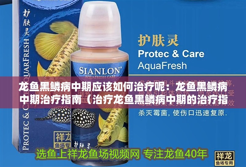 龍魚黑鱗病中期應(yīng)該如何治療呢：龍魚黑鱗病中期治療指南（治療龍魚黑鱗病中期的治療指南）