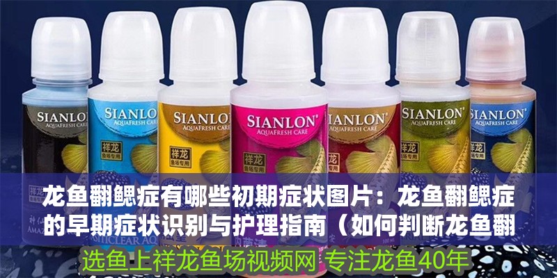 龍魚翻鰓癥有哪些初期癥狀圖片：龍魚翻鰓癥的早期癥狀識別與護(hù)理指南（如何判斷龍魚翻鰓癥？）