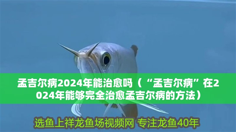 孟吉爾病2024年能治愈嗎（“孟吉爾病”在2024年能夠完全治愈孟吉爾病的方法）