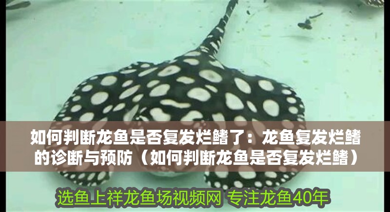 如何判斷龍魚是否復發爛鰭了：龍魚復發爛鰭的診斷與預防（如何判斷龍魚是否復發爛鰭）