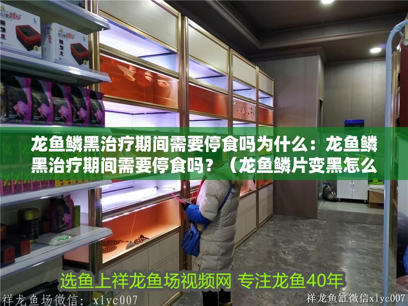 龍魚鱗黑治療期間需要停食嗎為什么：龍魚鱗黑治療期間需要停食嗎？（龍魚鱗片變黑怎么辦）