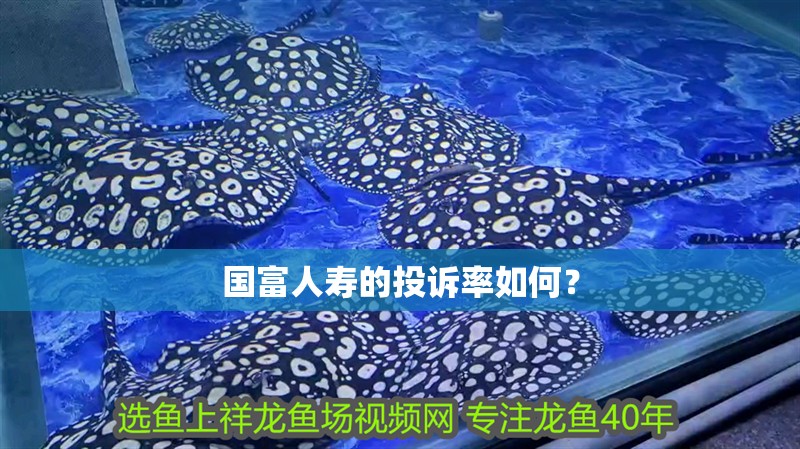 國富人壽的投訴率如何？