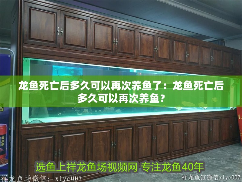 龍魚死亡后多久可以再次養(yǎng)魚了：龍魚死亡后多久可以再次養(yǎng)魚？