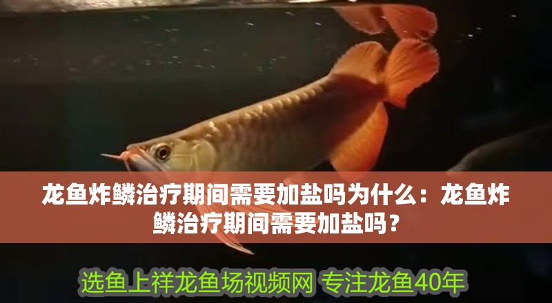 龍魚炸鱗治療期間需要加鹽嗎為什么：龍魚炸鱗治療期間需要加鹽嗎？