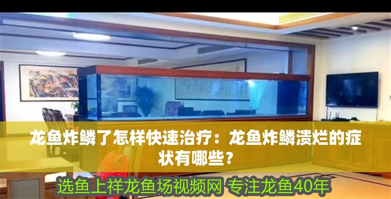 龍魚炸鱗了怎樣快速治療：龍魚炸鱗潰爛的癥狀有哪些？ 龍魚炸鱗了怎樣快速治療：龍魚炸鱗潰爛的癥狀有哪些？ 水族問答