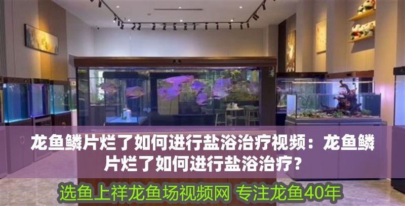 龍魚鱗片爛了如何進行鹽浴治療視頻：龍魚鱗片爛了如何進行鹽浴治療？
