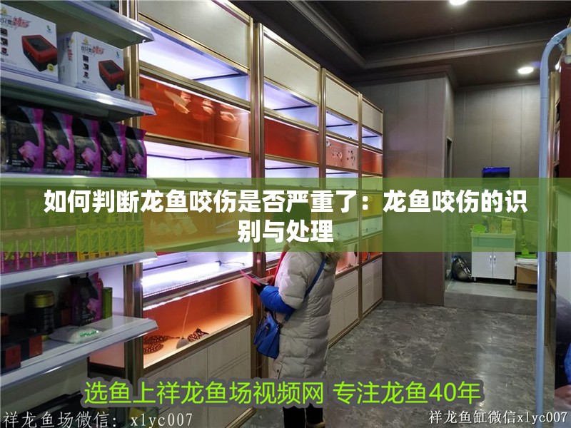 如何判斷龍魚咬傷是否嚴(yán)重了：龍魚咬傷的識別與處理 如何判斷龍魚咬傷是否嚴(yán)重了：龍魚咬傷的識別與處理 水族問答
