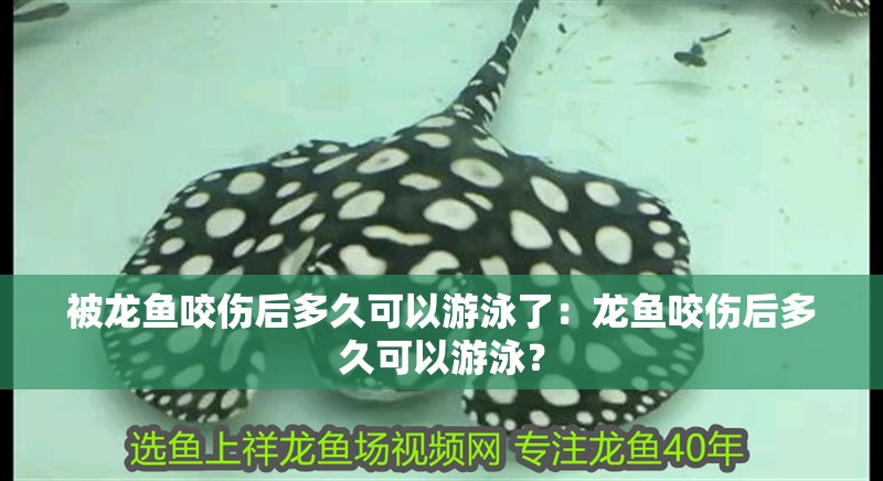 被龍魚咬傷后多久可以游泳了：龍魚咬傷后多久可以游泳？