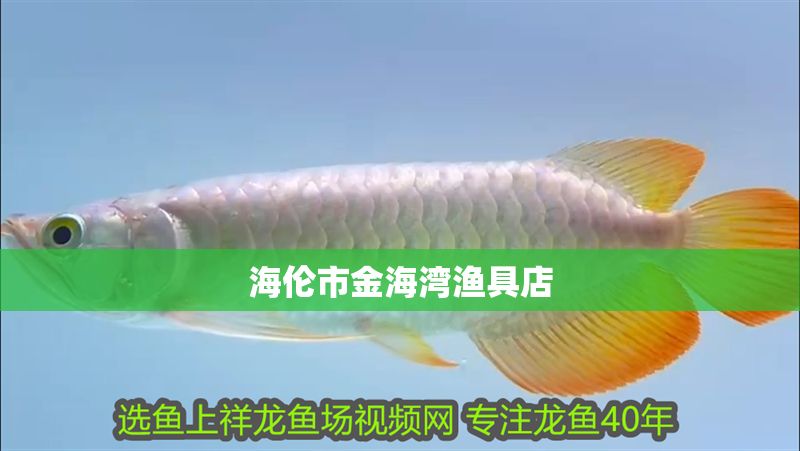 海倫市金海灣漁具店 海倫市金海灣漁具店 全國水族館企業名錄 第1張