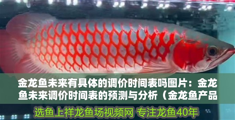 紅龍魚用黃燈烤有用嗎 金龍魚未來有具體的調(diào)價時間表嗎圖片:金龍魚未來調(diào)價時間表的預(yù)測與分析(金龍魚產(chǎn)品價格的影響) 水族問答 金龍魚未來有具體的調(diào)價時間表嗎圖片:金龍魚未來調(diào)價時間表的預(yù)測與分析(金龍魚產(chǎn)品價格的影響) 金龍魚未來有具體的調(diào)價時間表嗎圖片:金龍魚未來調(diào)價時間表的預(yù)測與分析(金龍魚產(chǎn)品價格的影響) 水族問答