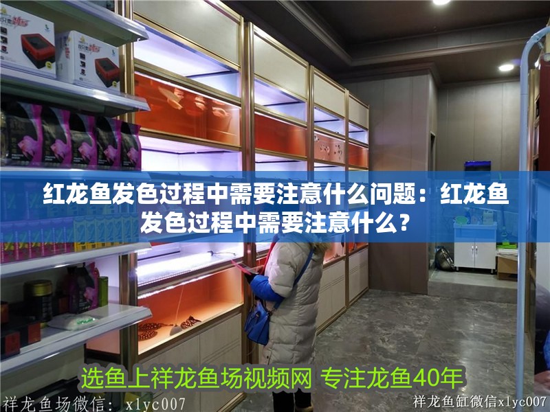 紅龍魚發色過程中需要注意什么問題：紅龍魚發色過程中需要注意什么？