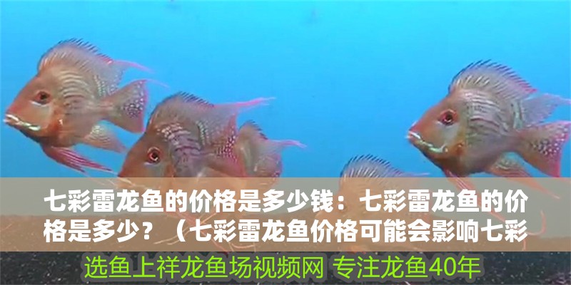 七彩雷龍魚的價格是多少錢：七彩雷龍魚的價格是多少？（七彩雷龍魚價格可能會影響七彩雷龍魚的價格差異較大）