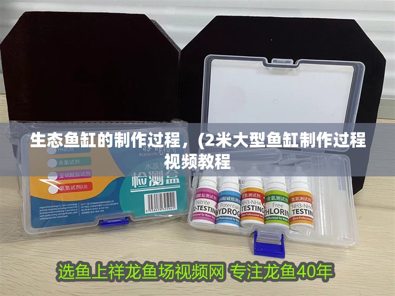 生態(tài)魚缸的制作過程，(2米大型魚缸制作過程視頻教程