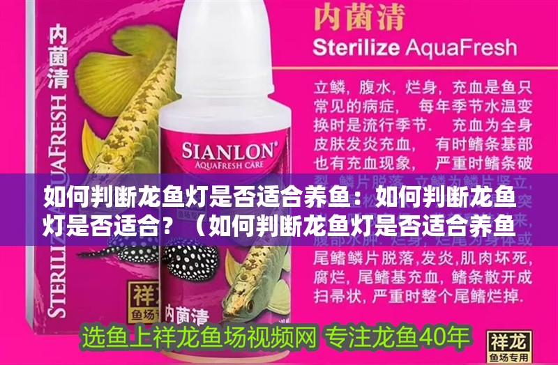 如何判斷龍魚燈是否適合養(yǎng)魚：如何判斷龍魚燈是否適合？（如何判斷龍魚燈是否適合養(yǎng)魚）